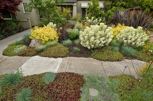 Landscape Ideas For Front Lawns In, Simple Front Yard Desert Landscaping Ideas