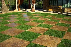 Unique Sod Lawn Landscaping Ideas