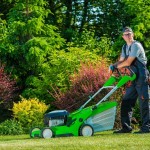 Smiling Professional Gardener handles the most common lawncare mistakes in Arizona