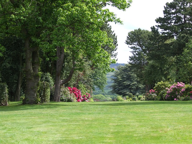 landscaped lawn